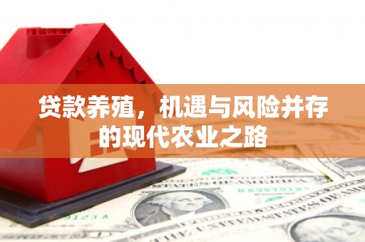 金溪贷款养殖，机遇与风险并存的现代农业之路