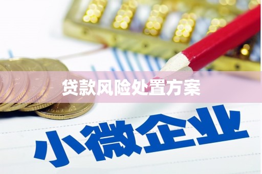 新绛贷款风险处置方案