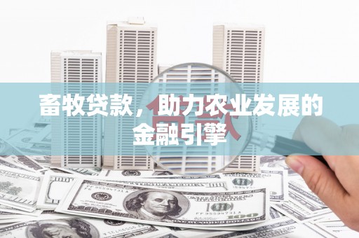 东明畜牧贷款，助力农业发展的金融引擎