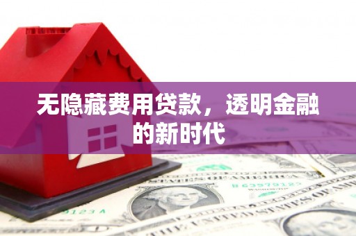 罗山无隐藏费用贷款，透明金融的新时代