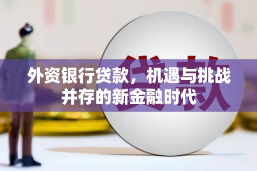 临西外资银行贷款，机遇与挑战并存的新金融时代