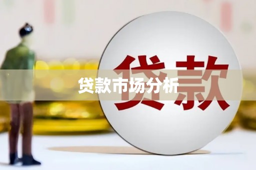 固始贷款市场分析