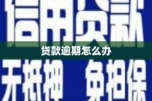 吴起贷款逾期怎么办