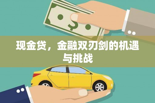 巴青现金贷，金融双刃剑的机遇与挑战