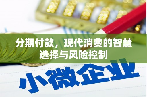 刚察分期付款，现代消费的智慧选择与风险控制