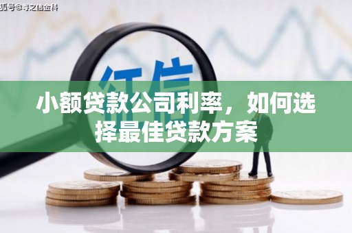 夏县小额贷款公司利率，如何选择最佳贷款方案