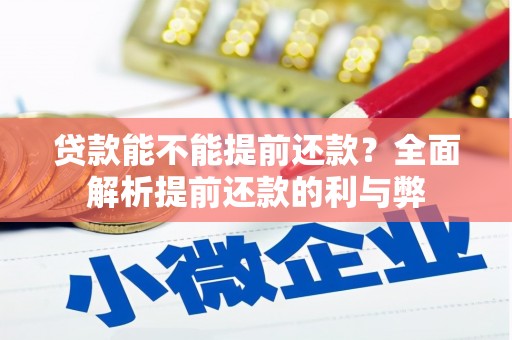 双柏贷款能不能提前还款？全面解析提前还款的利与弊