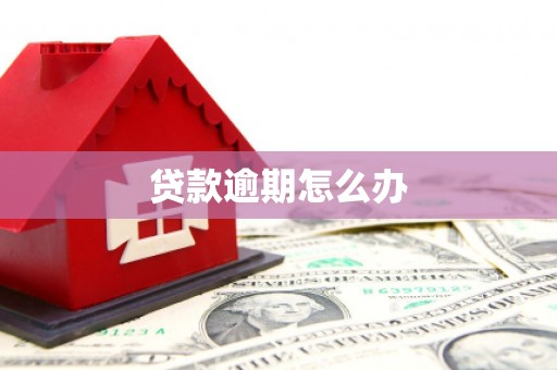 嵊泗贷款逾期怎么办
