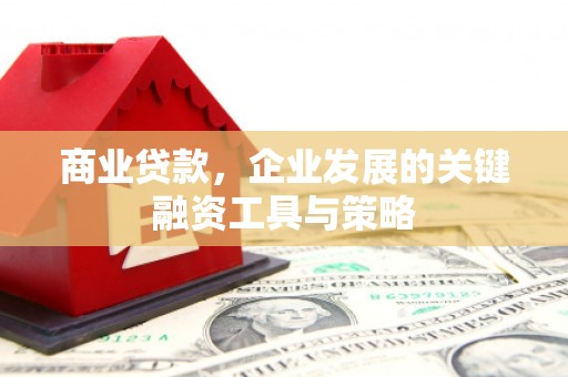 新林商业贷款，企业发展的关键融资工具与策略