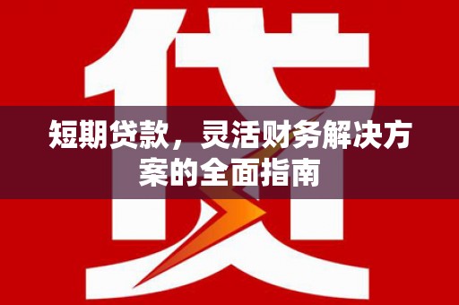 定安短期贷款，灵活财务解决方案的全面指南