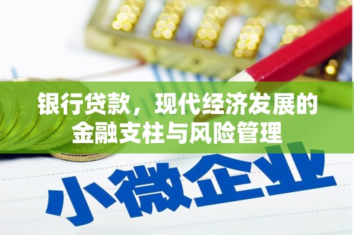 隆子银行贷款，现代经济发展的金融支柱与风险管理