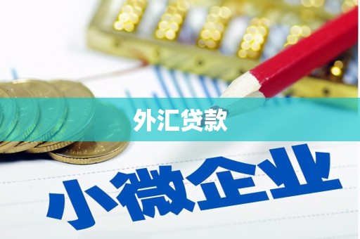 全州外汇贷款