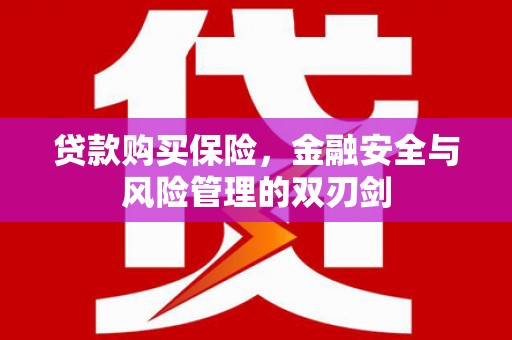 金宁贷款购买保险，金融安全与风险管理的双刃剑