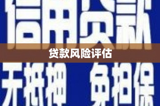 弥陀贷款风险评估