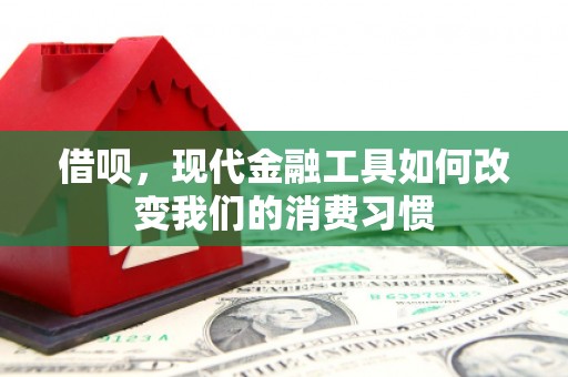 方山借呗，现代金融工具如何改变我们的消费习惯