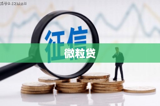 吴川微粒贷