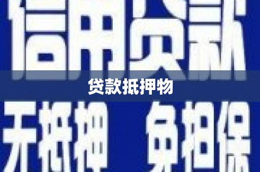 修文贷款抵押物