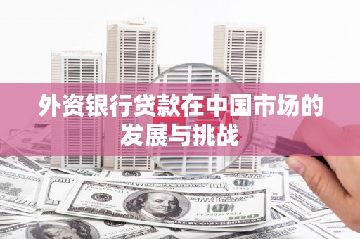 沈河外资银行贷款在中国市场的发展与挑战