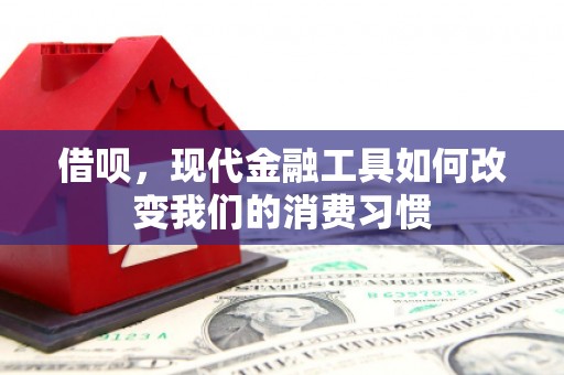民和借呗，现代金融工具如何改变我们的消费习惯