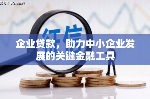 凤泉企业贷款，助力中小企业发展的关键金融工具