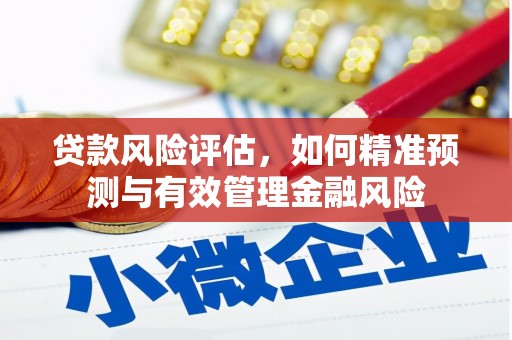 中国香港贷款风险评估，如何精准预测与有效管理金融风险
