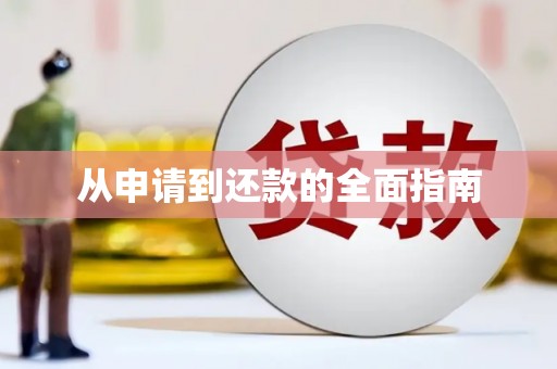 普湾新区从申请到还款的全面指南