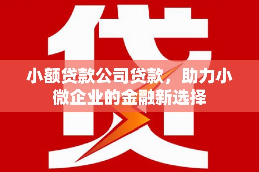 西陵小额贷款公司贷款，助力小微企业的金融新选择