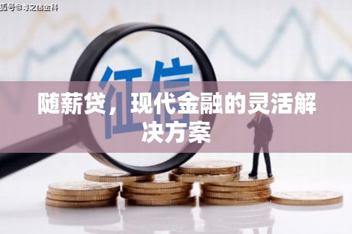 襄阳随薪贷，现代金融的灵活解决方案