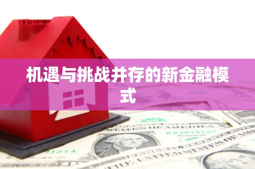 和美机遇与挑战并存的新金融模式