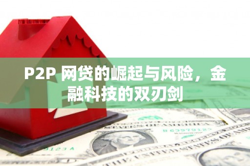 市中区P2P 网贷的崛起与风险，金融科技的双刃剑