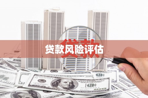 银海贷款风险评估