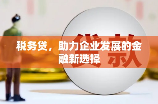 竹南税务贷，助力企业发展的金融新选择