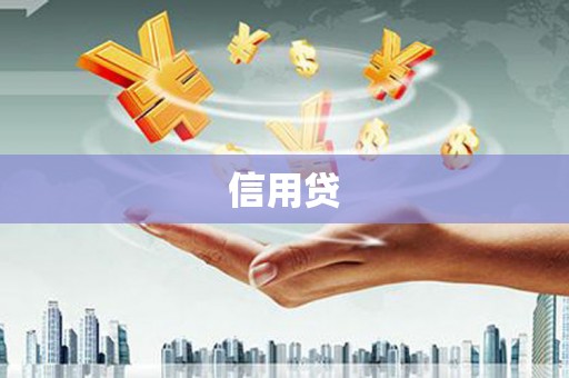 施秉信用贷
