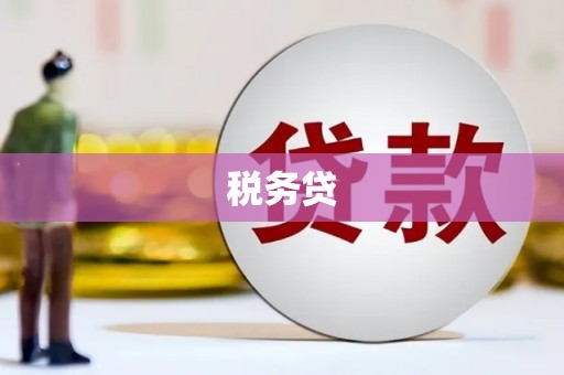 宾川税务贷