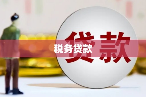 板芙税务贷款