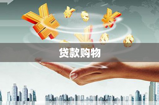 林周贷款购物