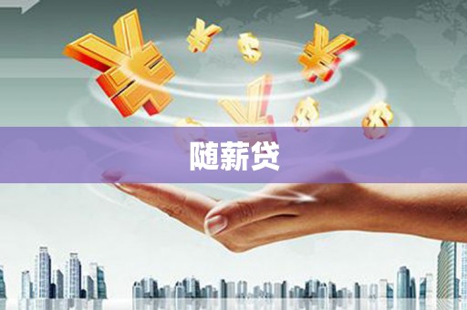 忻府随薪贷