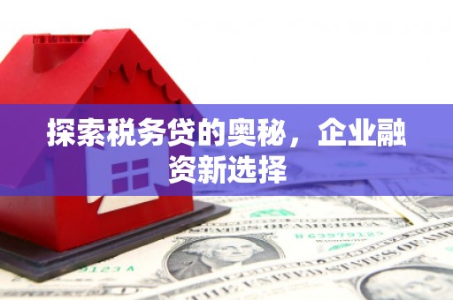 田家庵探索税务贷的奥秘，企业融资新选择