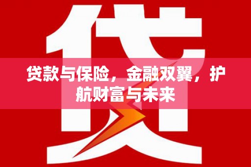 乳源贷款与保险，金融双翼，护航财富与未来