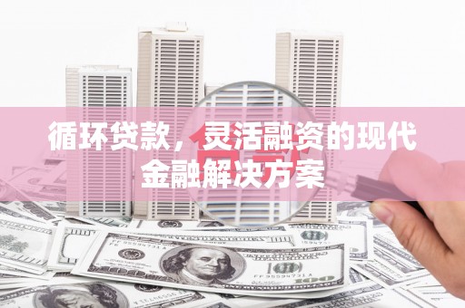 河池循环贷款，灵活融资的现代金融解决方案