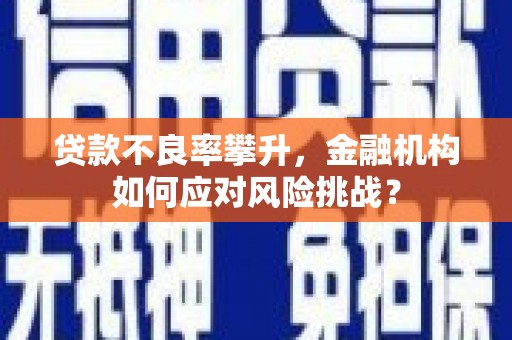 顺平贷款不良率攀升，金融机构如何应对风险挑战？
