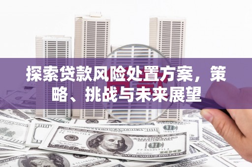 济宁探索贷款风险处置方案，策略、挑战与未来展望