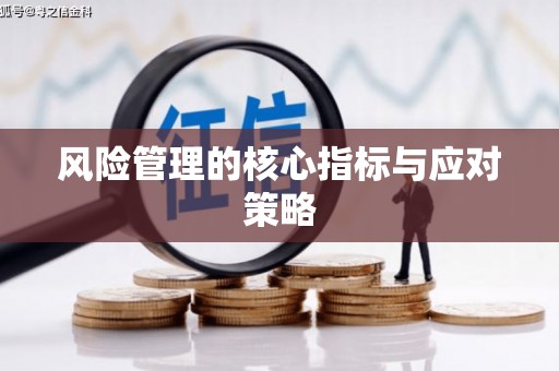 昌乐风险管理的核心指标与应对策略