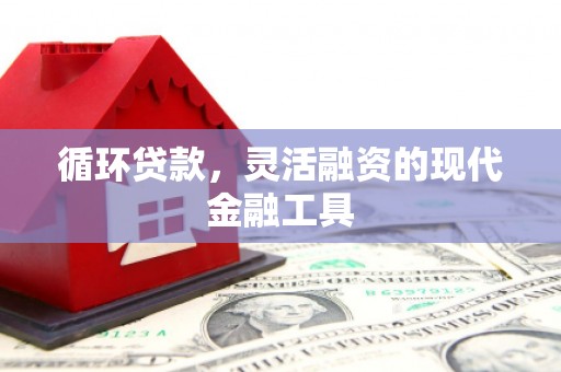 彝良循环贷款，灵活融资的现代金融工具