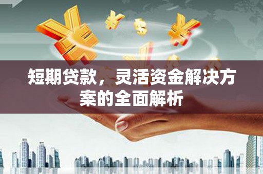湖西短期贷款，灵活资金解决方案的全面解析