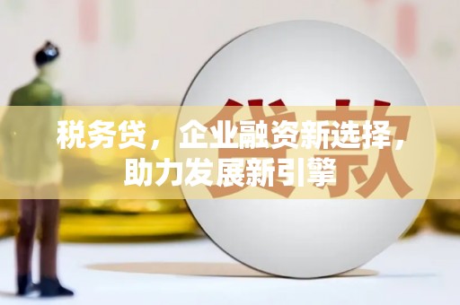 通化税务贷，企业融资新选择，助力发展新引擎