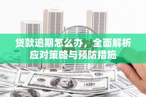 邵东贷款逾期怎么办，全面解析应对策略与预防措施