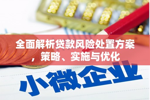 罗定全面解析贷款风险处置方案，策略、实施与优化