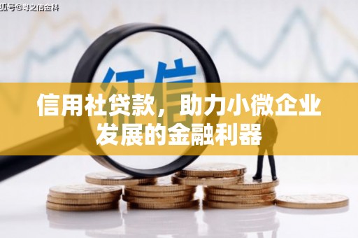 泸溪信用社贷款，助力小微企业发展的金融利器
