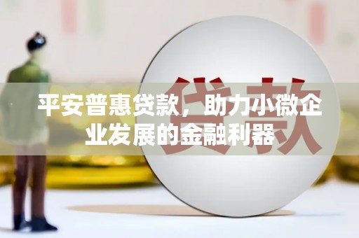上林平安普惠贷款，助力小微企业发展的金融利器